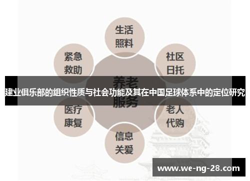 建业俱乐部的组织性质与社会功能及其在中国足球体系中的定位研究 建业俱乐部的组织性质与社会功能及其在中国足球体系中的定位研究
