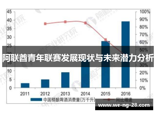 阿联酋青年联赛发展现状与未来潜力分析 阿联酋青年联赛发展现状与未来潜力分析